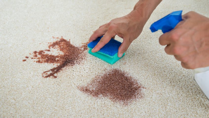 Professional Stain Removal Conroe TX 2